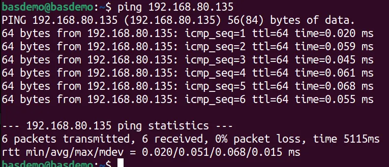 Sample ping execution